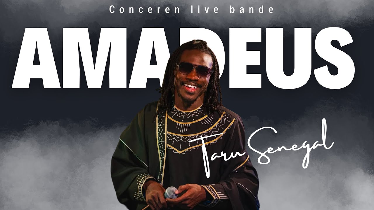 CONCERT AMADEUS LIVE