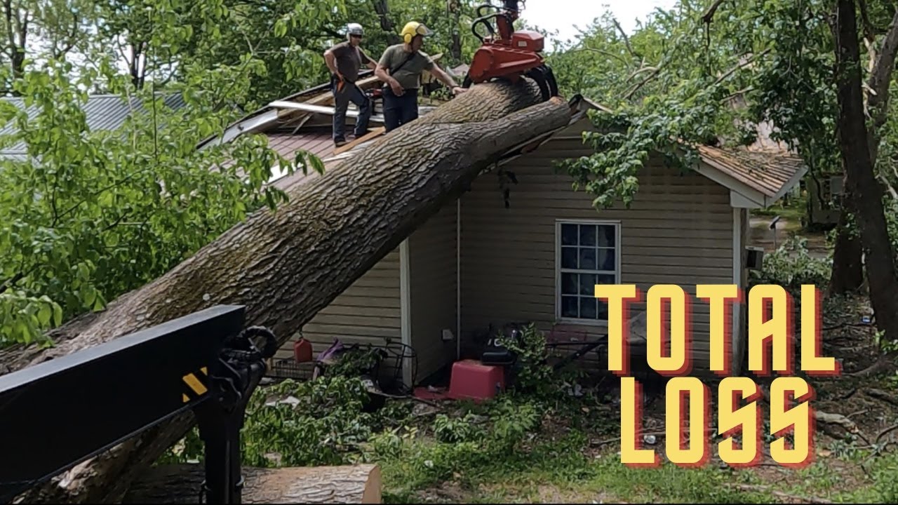 Huge tree crushes house. WHO DROPPED IT ON THE HOUSE?. We used the TreeMek to remove it 🦾