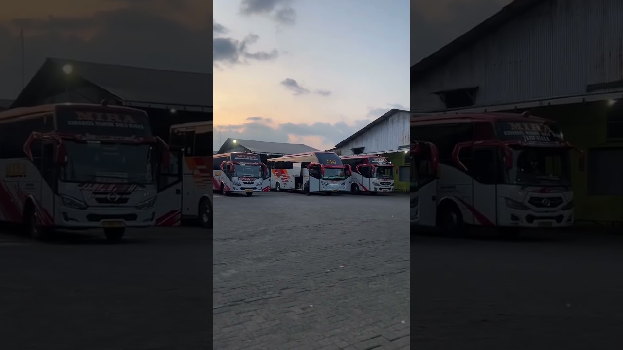 5:54 #busmira #busekacepat #busekonomi #busmaniacommunity #busmania #jetbus5 #adiputro #busjatim
