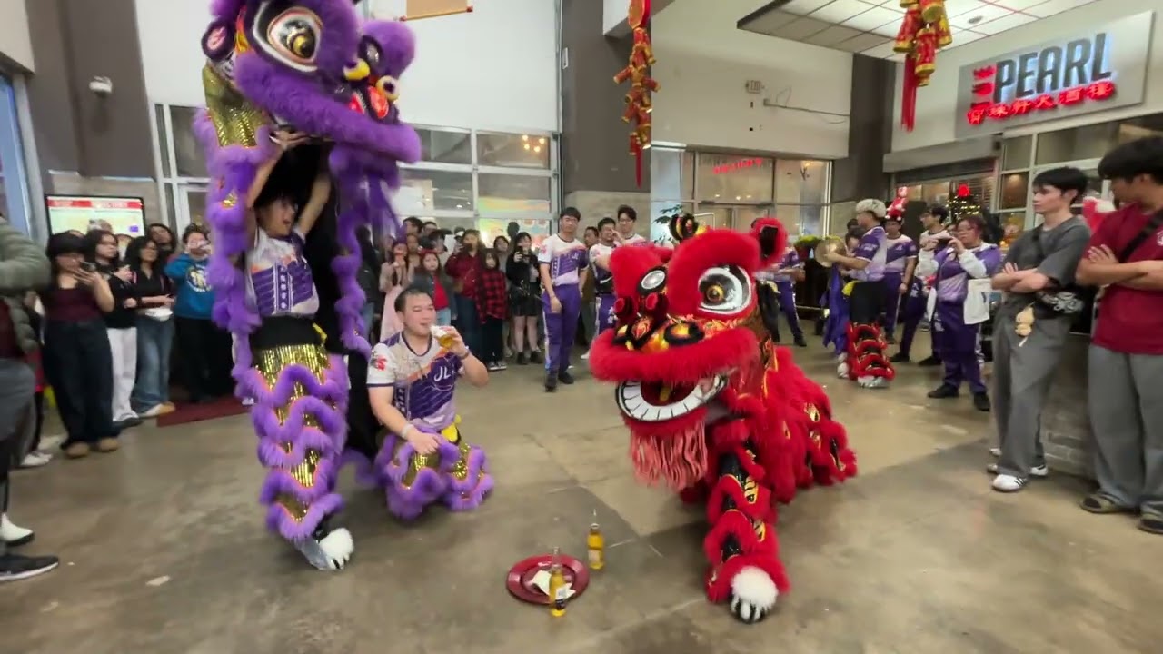 Lunar New Year 2026