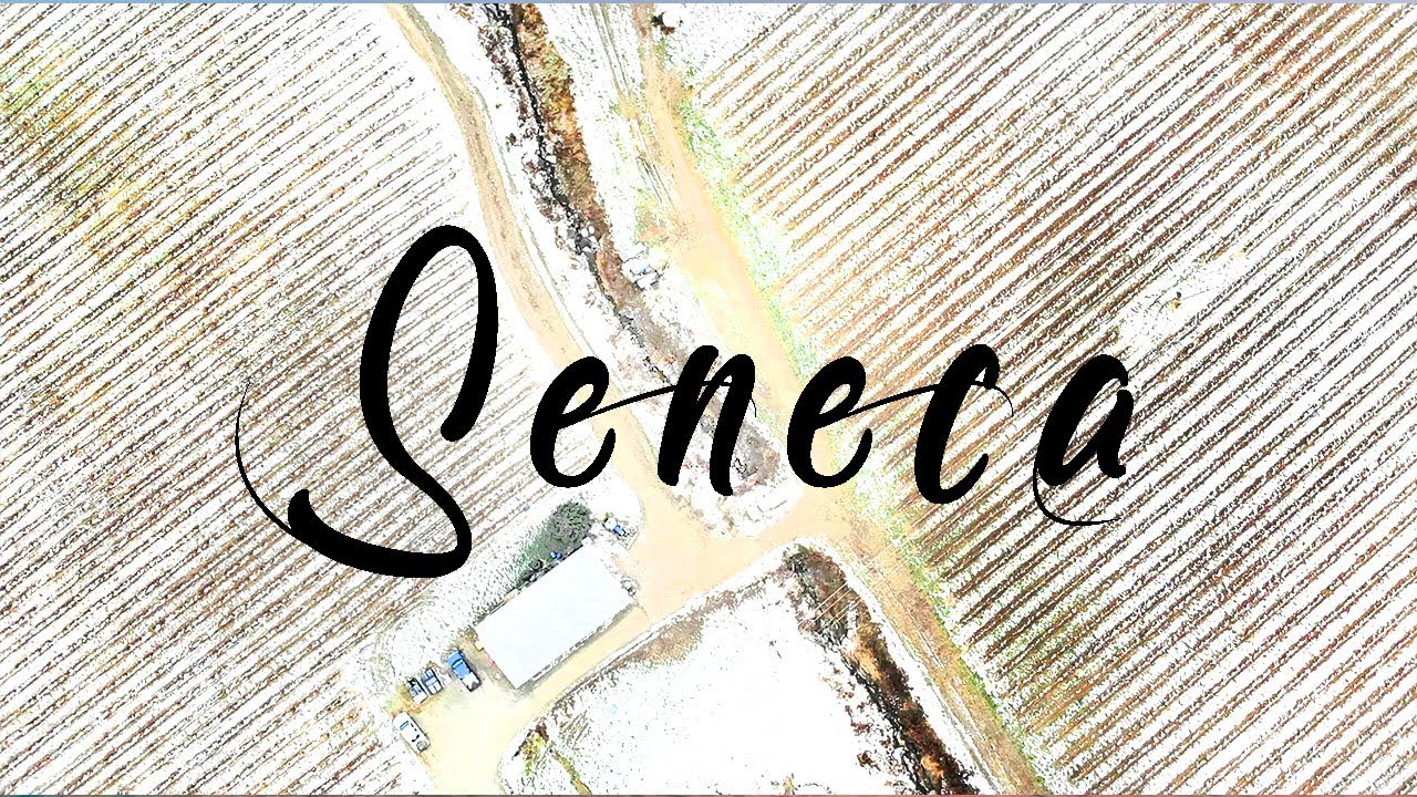 Seneca Lake - Winter Mavic Air Edit