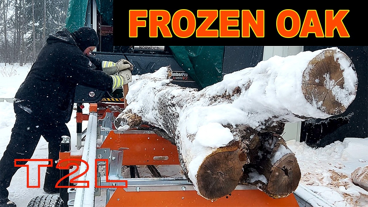Тестирование HD36V2: Замороженное неприглядное бревно из развилки белого дуба
