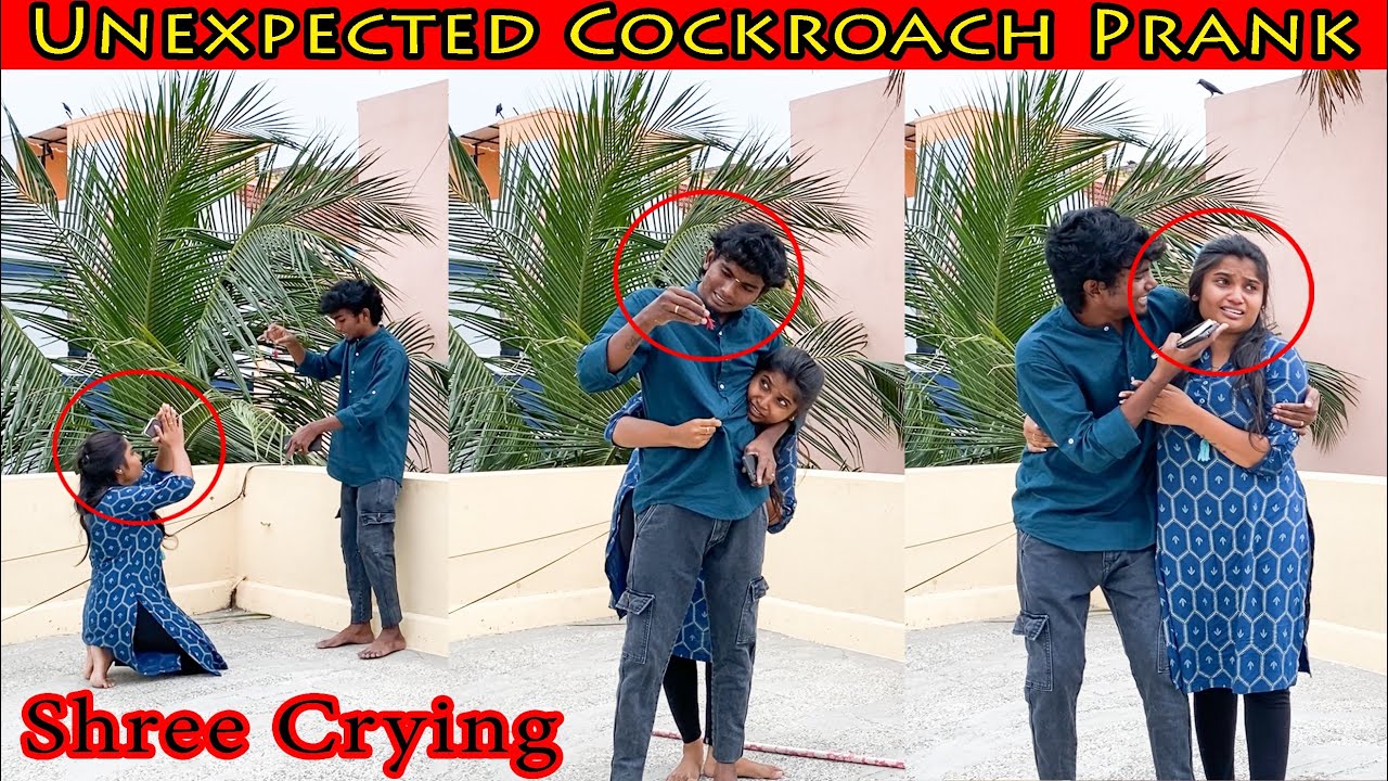 Unexpected Cockroach Prank  🪳😂🤭| Shree Crying 😭🤭 | Vishwa Shree Fun  😁| VSFAMILYS |