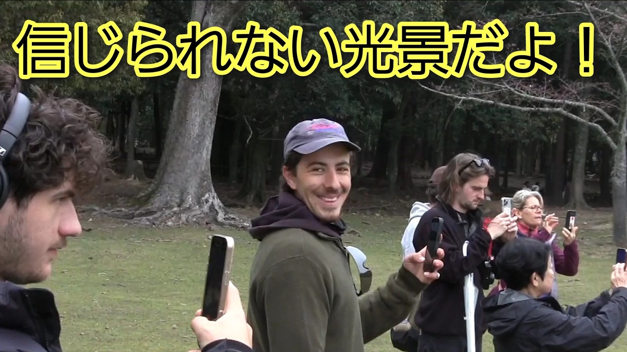 信じられない光景だよ！外国人観光客が奈良で行われる特別な行事に目を丸くする