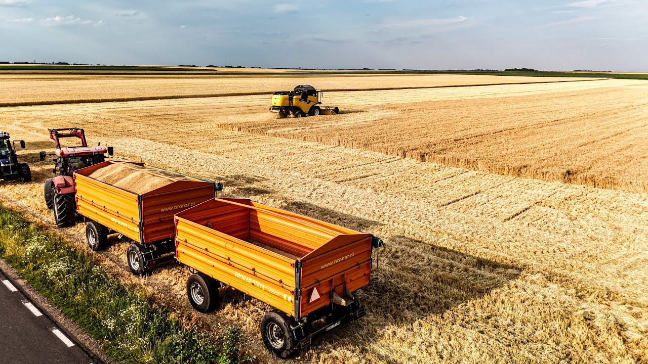 🇵🇱🔥DolnoŚląskie Żniwa na dwa kombajny 🔥 New Holland, Case