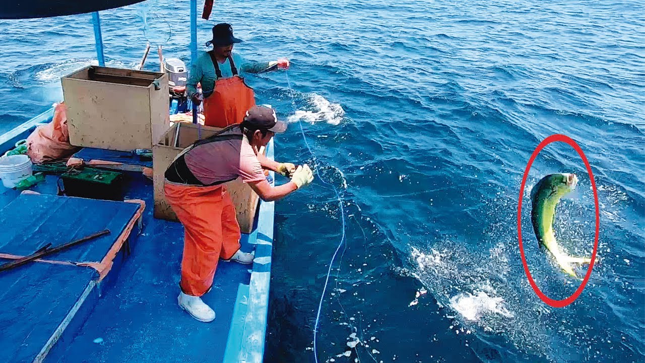 Técnica mas Efectiva para Sacar y matar 22 PECES Grandes con Linea de Mano y Anzuelo
