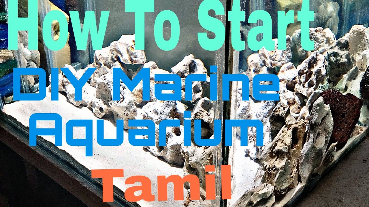 How To Start 