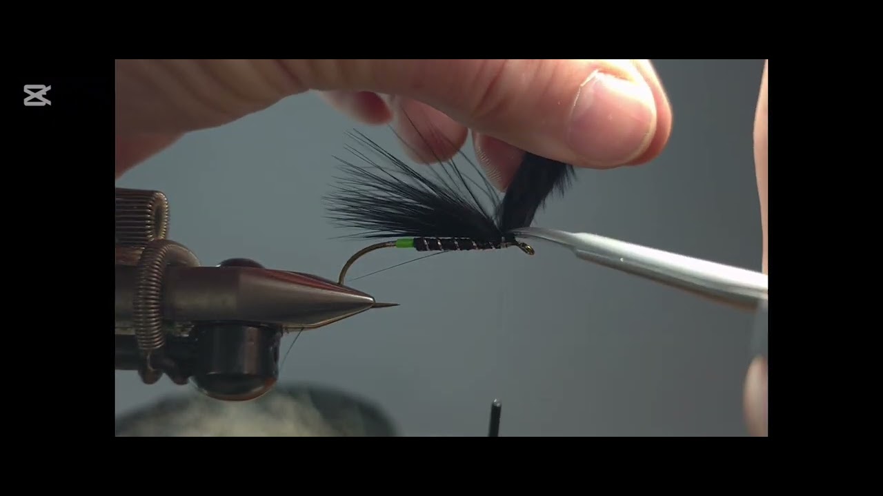 Marabou Muddler variant. 