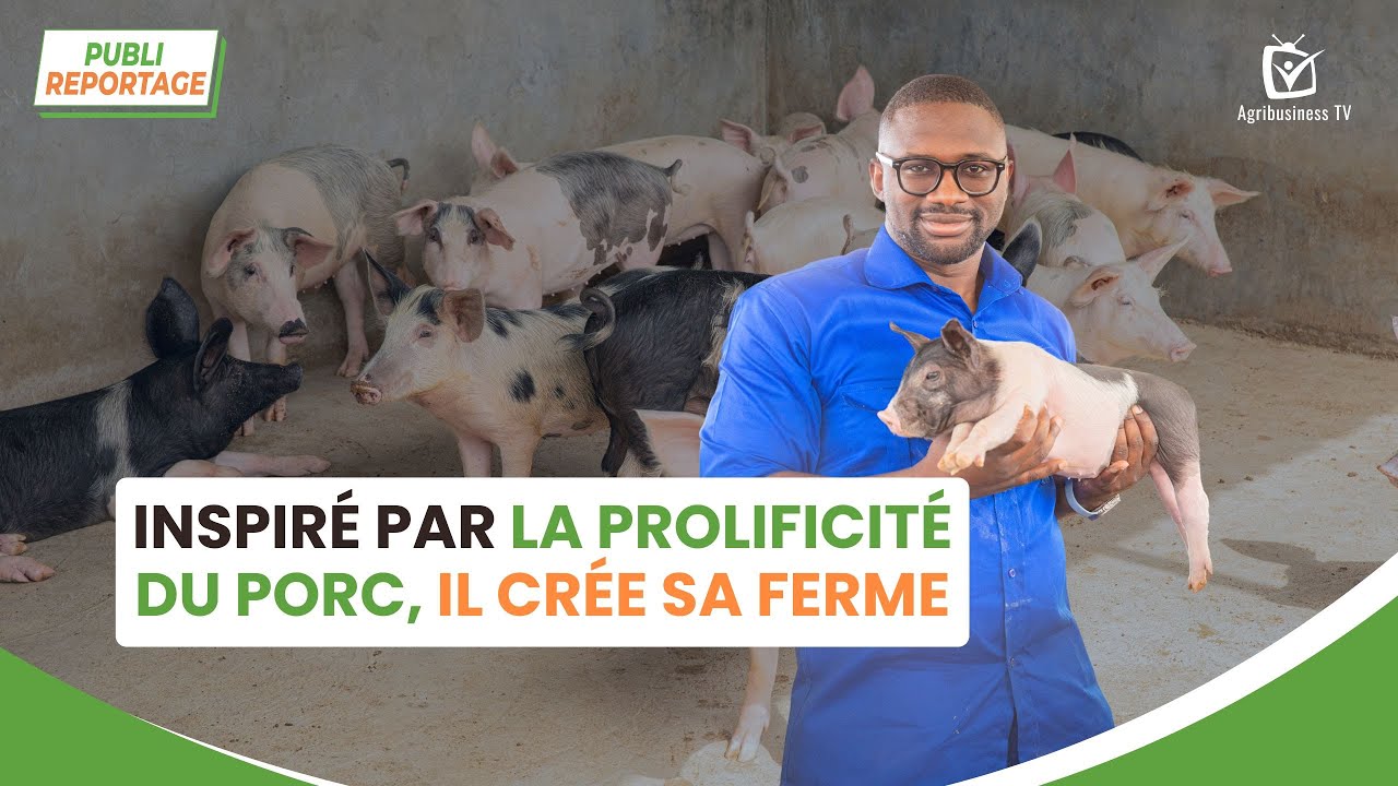 Agri Pub : Inspiré par la prolificité du porc, il crée sa ferme