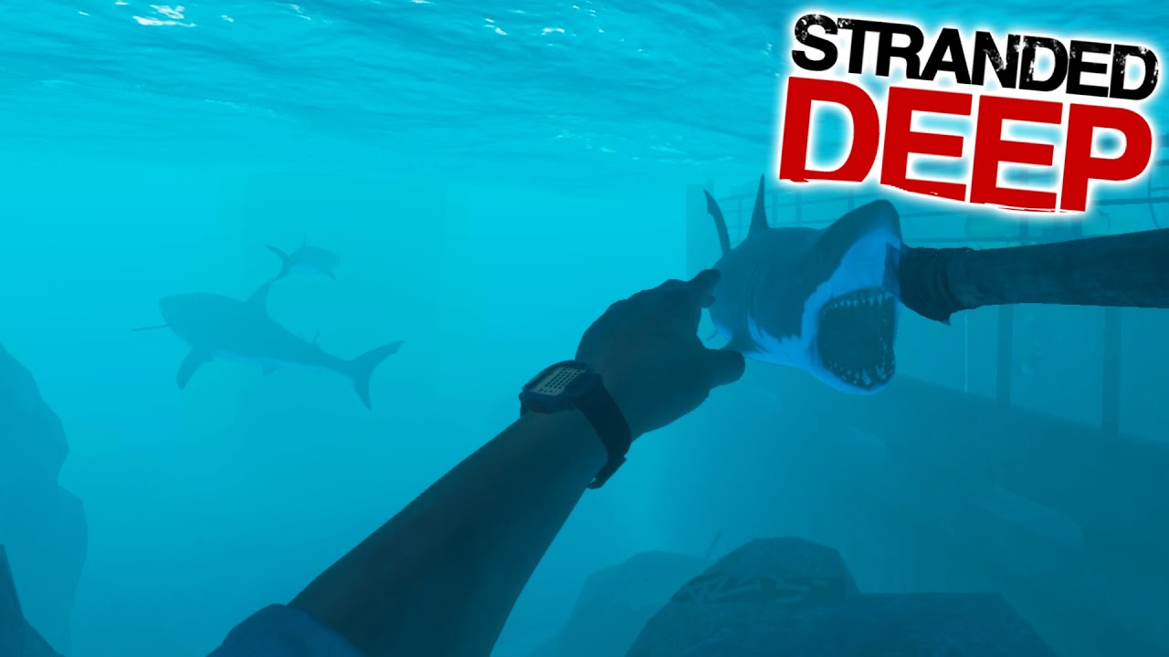 An Island that Got Flooded by a Tsunami on This Custom Island Stranded Deep