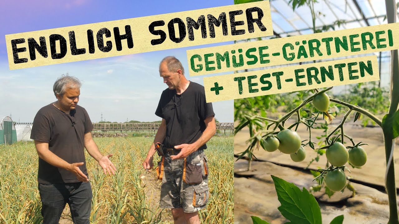 So habt ihr die Gartenoase Köln West noch nie gesehen - Gemüsegarten und Selbstversorgung im Juni
