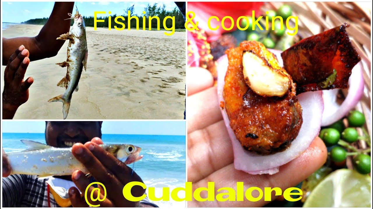 Fishing|| @cuddalore silver beach Sea Shore Fishing and Cooking|| Yummy fried fish #fishing