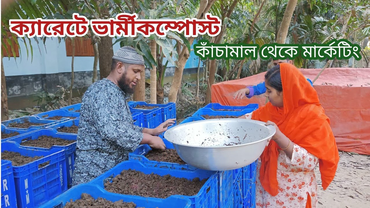 ক্যারেটে ভার্মীকম্পোস্ট। কাঁচামাল সংগ্রহ থেকে বাজারজাতকরন।