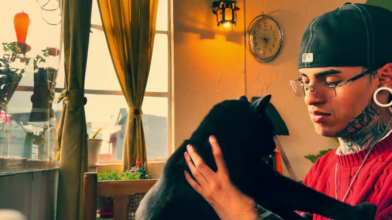 Mic Filin ◇ Agonizando (Visualizer) | Sereno