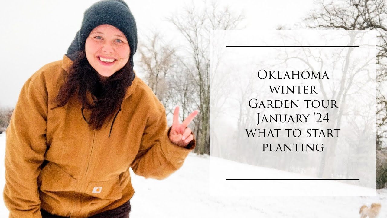 What to plant in January & Winter Garden tour
