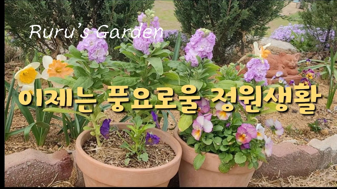 5월, 풍요속의 고단했던 정원생활 시작 | 식쇼핑, 파종에 미쳐있던 지난 날들의 결과물을 식재했어요