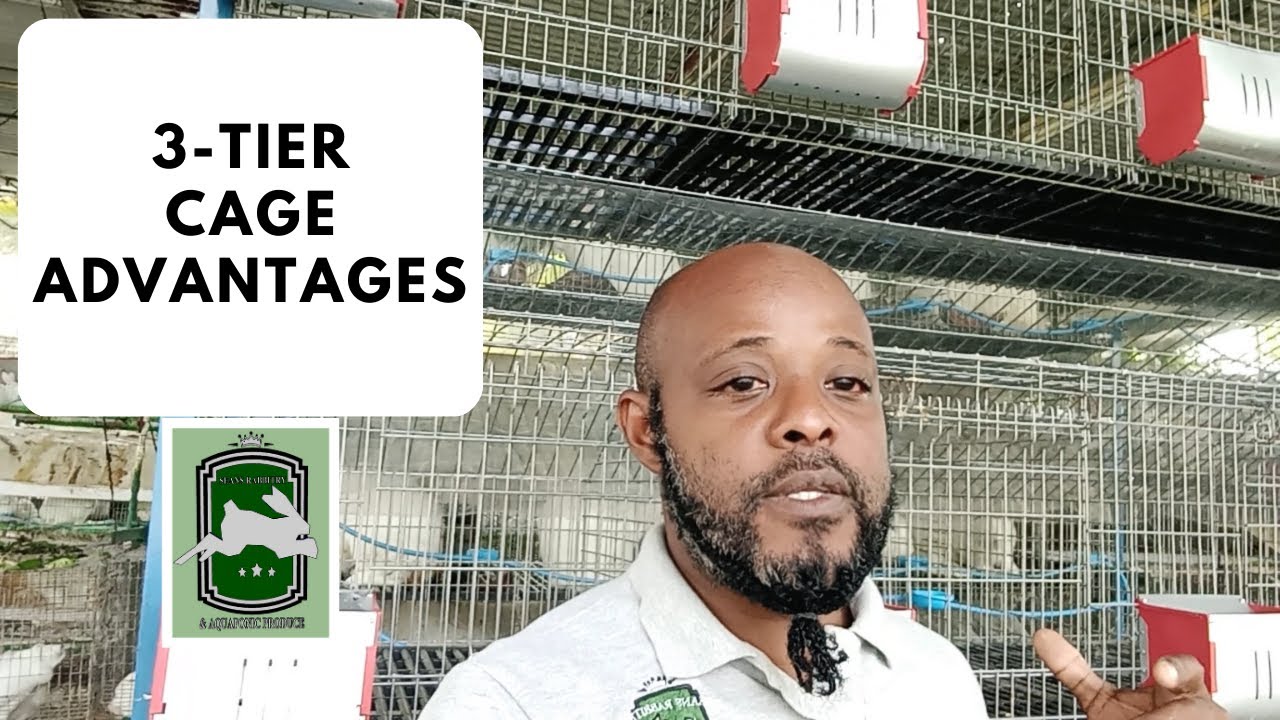 3-Tier Rabbit Cage Advantages