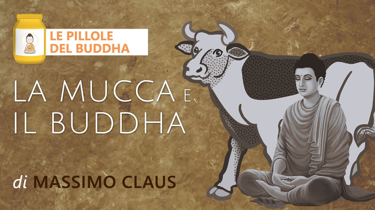 Massimo Claus - LA MUCCA E IL BUDDHA