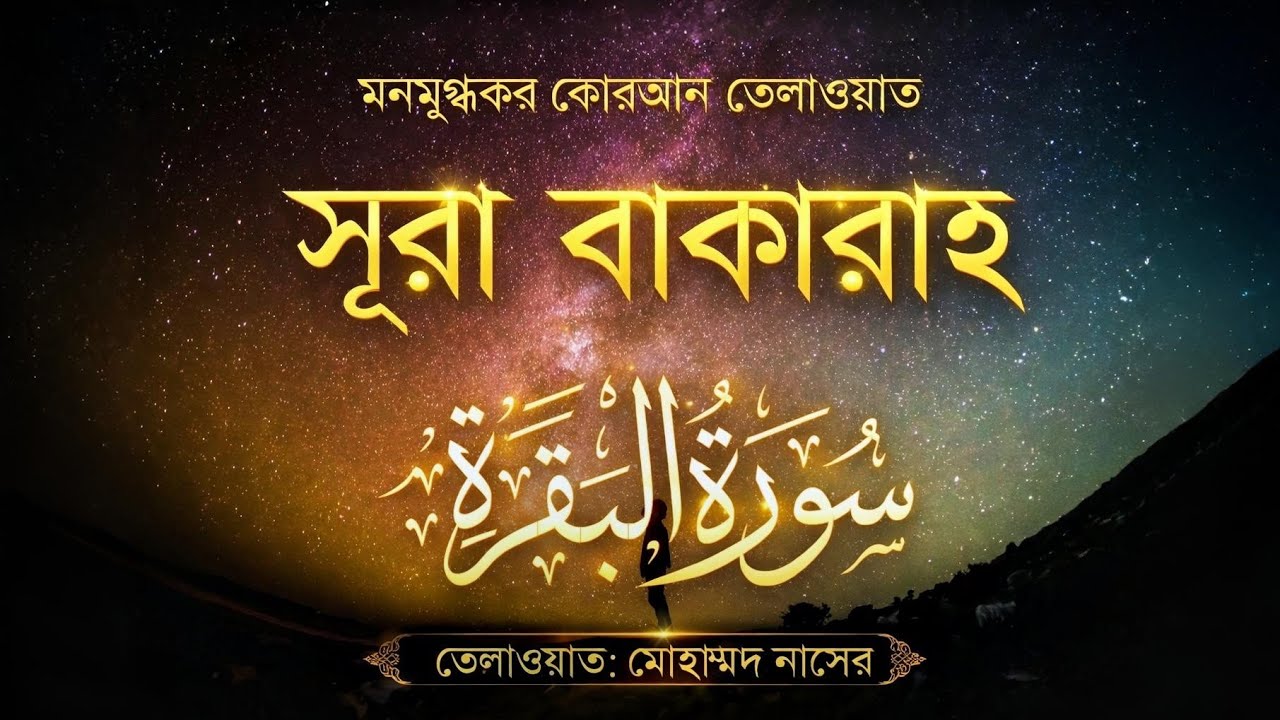 সূরা বাকারা | Surah Baqarah Tilawat | Surah Al Baqarah Full Quran Recitation