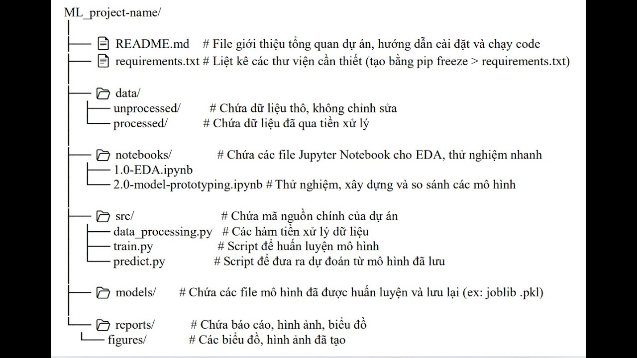 Data Analysis + Machine Learning Project Guide (HD triển khai dự án phân tích dữ liệu và học máy)