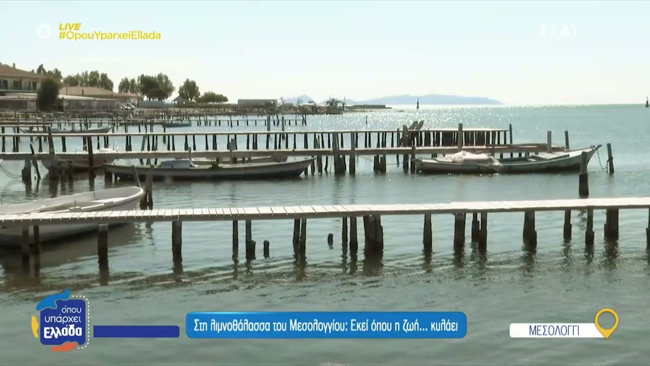 Στη λιμνοθάλασσα του Μεσολογγίου: Εκεί όπου η ζωή... κυλάει | Όπου Υπάρχει Ελλάδα | 24/04/2025