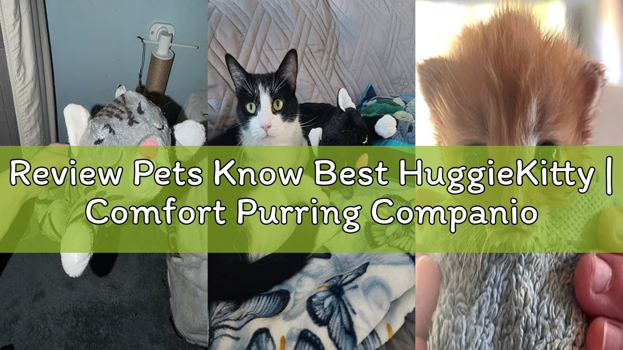 Review Pets Know Best HuggieKitty | Comfort Purring Companion with Heartbeat Sleep Aide for Cats & K