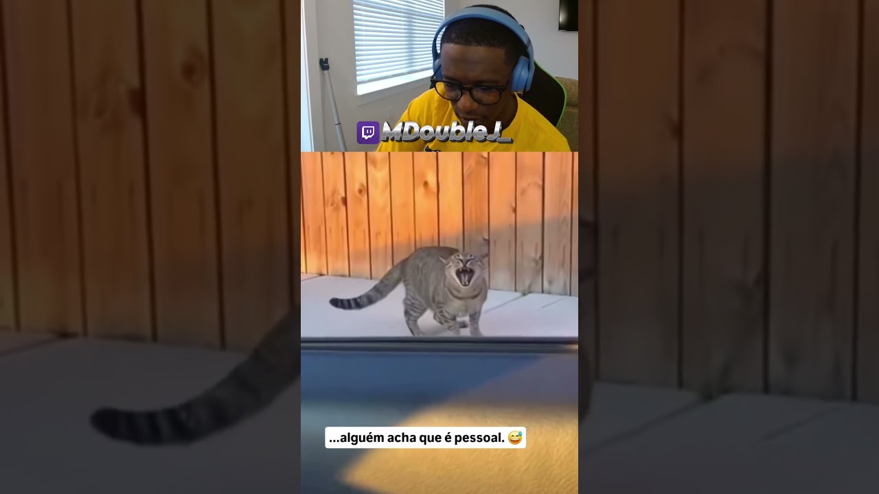 That cat was angry 🤣