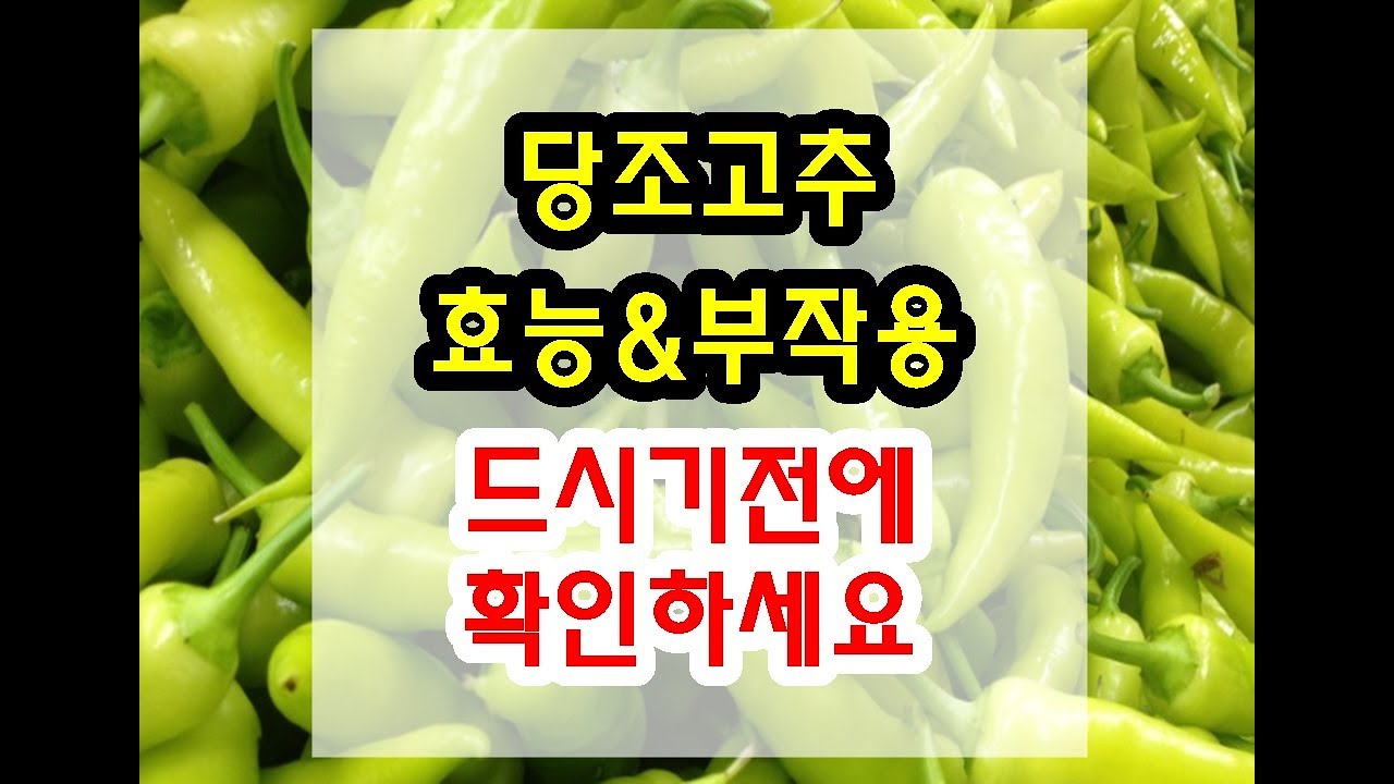 당조고추 효능과 부작용 잘 알고 드셔야해요~
