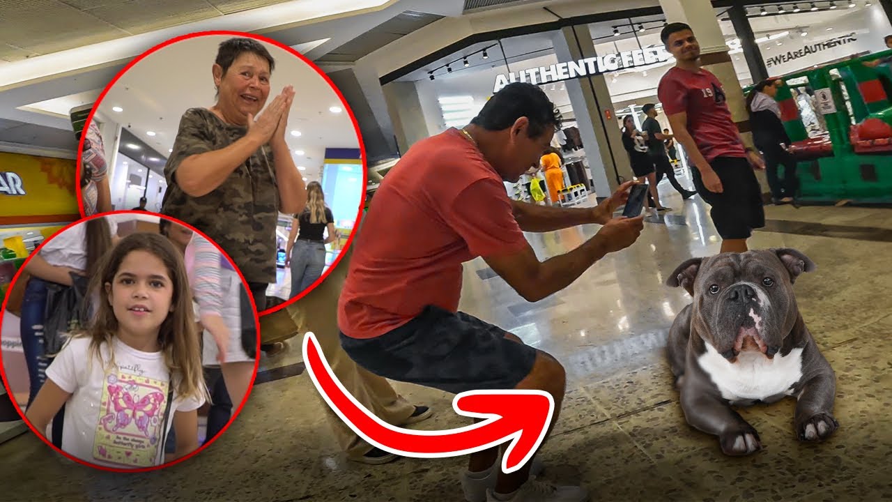 REAÇÃO DAS PESSOAS AO VEREM MEU CACHORRO NO SHOPPING 6