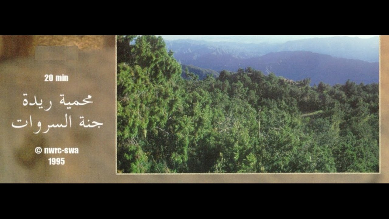 محمية ريدة - RAYDAH PROTECTED AREA