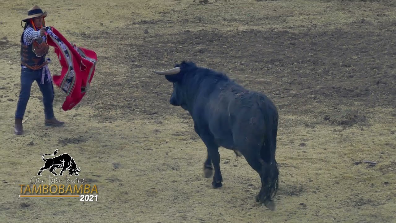 CORRIDA DE TOROS EN TAMBOBAMBA 2021 - HUAMANI PRODUCCIONES