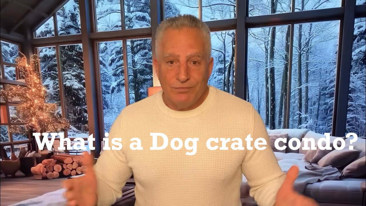 What is a Dog Crate Condo?