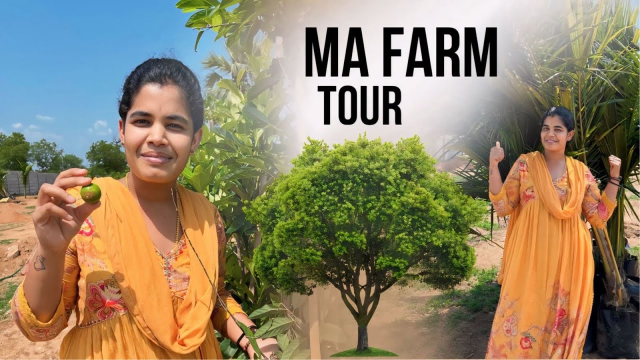 Ma farm house tour// farm house update// garden in my farm house #vlog #vlogs #vlogger #garden