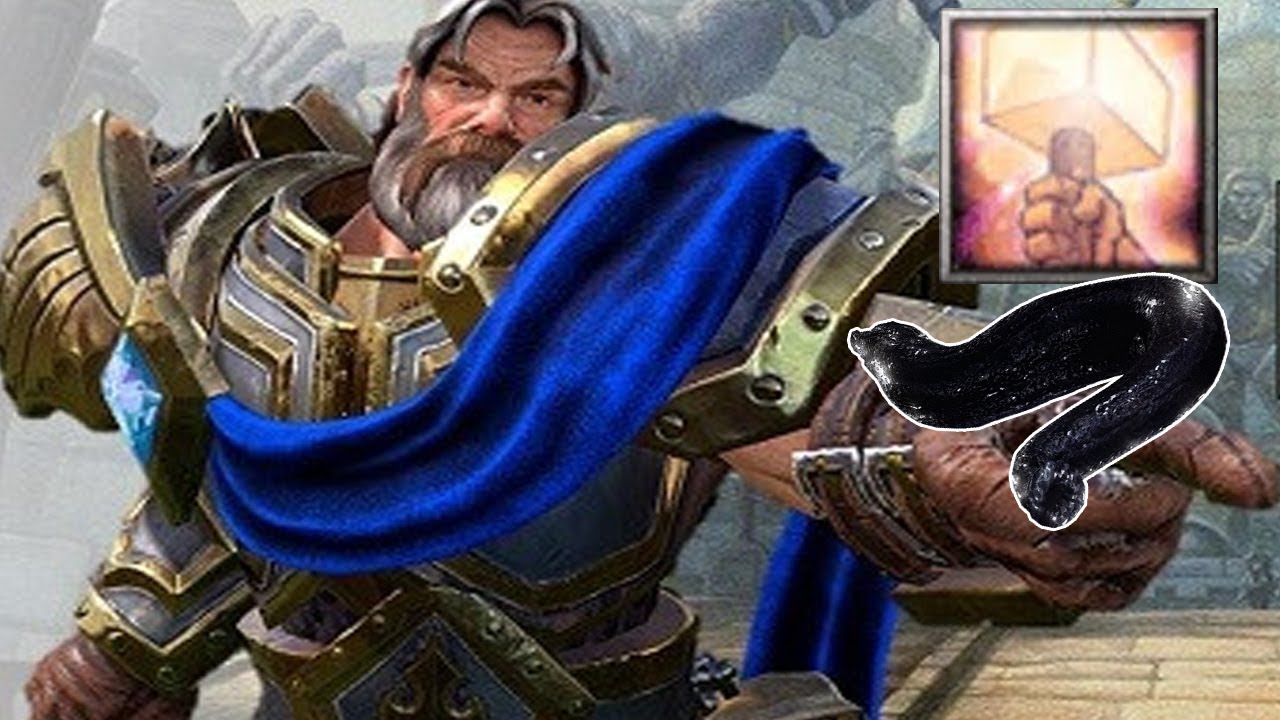 Divine Shield Only Paladin Leech Strategy