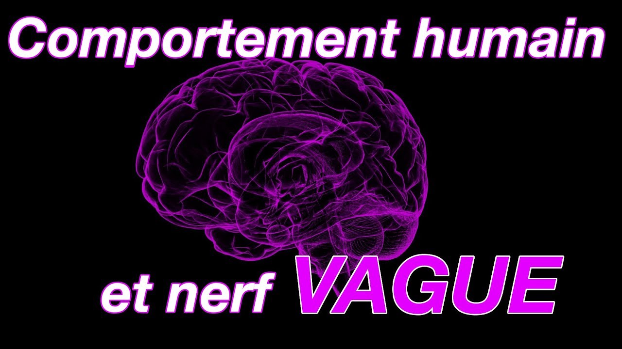 Le NERF VAGUE: nouvelle vision de notre physiologie