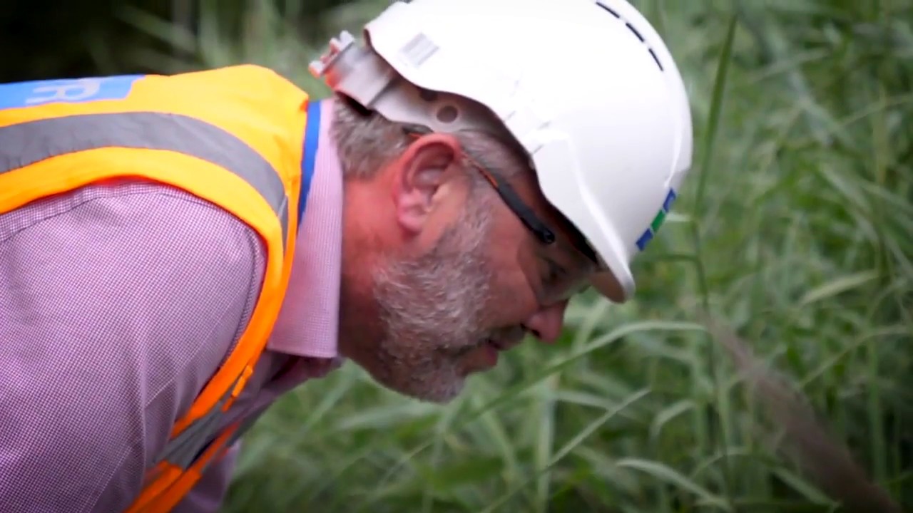 Hulland Ward Reed Bed Treatment