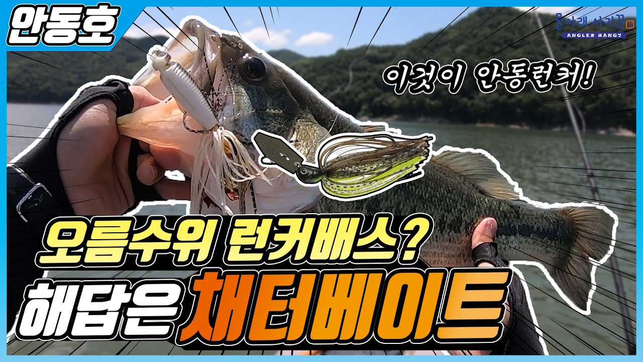 안동호, 오름수위 런커 배스 잡는 루어? 채터베이트, [물아래 사기꾼]EP.41