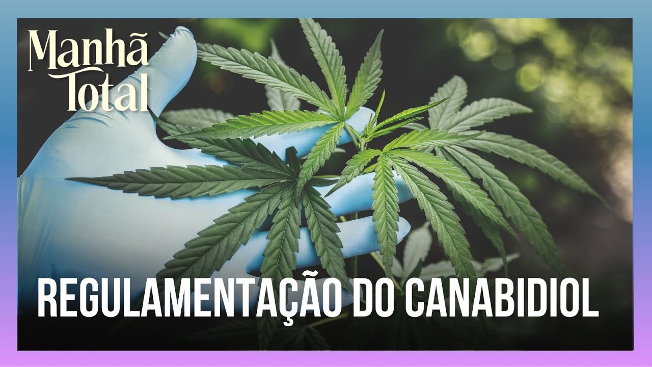 O que diz a lei sobre o uso medicinal da cannabis e do canabidiol? | MANH&Atilde; TOTAL