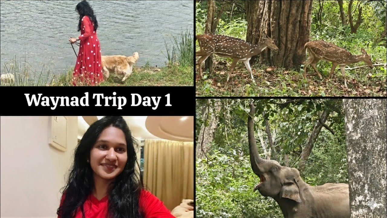 🌿 Wayanad Trip Day 1 | Kuruva Island, Safari, Lake Walk & Resort Tour