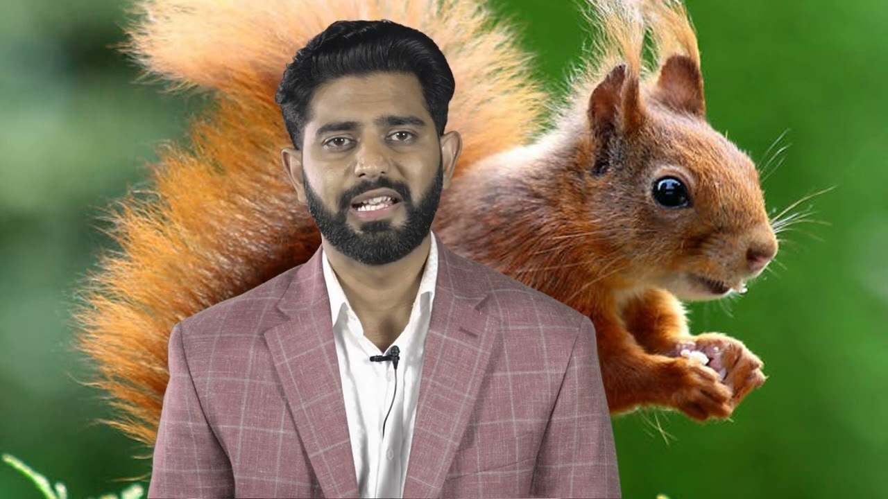 What Is Humane Wildlife Trapping and How Does It Work