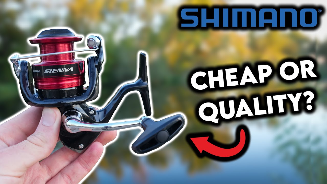 Shimano Sienna Full Review: Is This Reel Worth The Price?