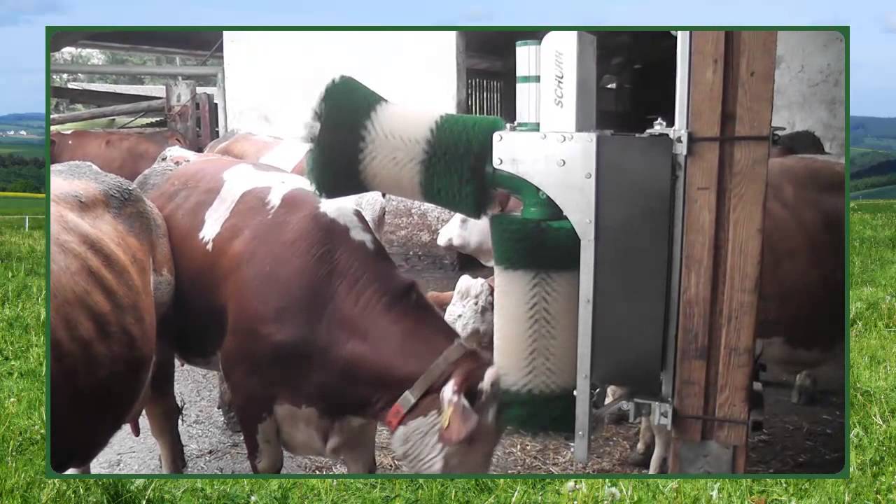 SCHURR Kuhbürste Typ C12 2-Bürstensystem - 2012