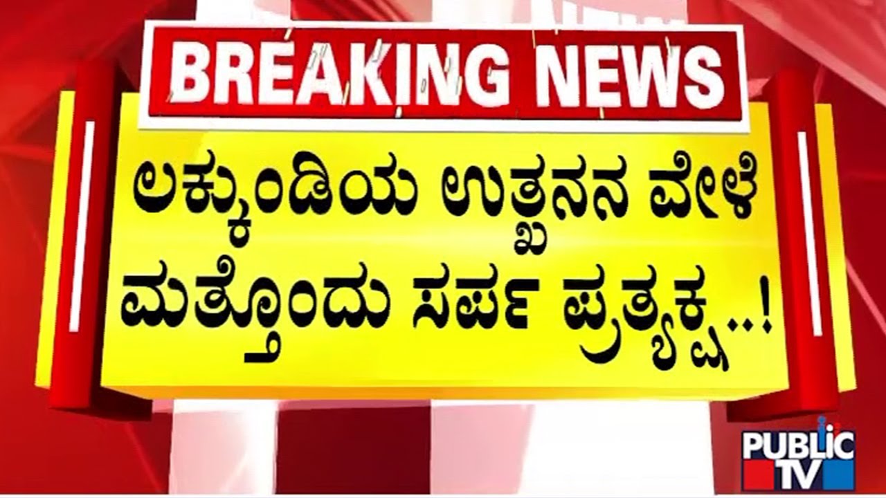 Another Snake Found Near Excavation Site In Lakkundi | Gadag