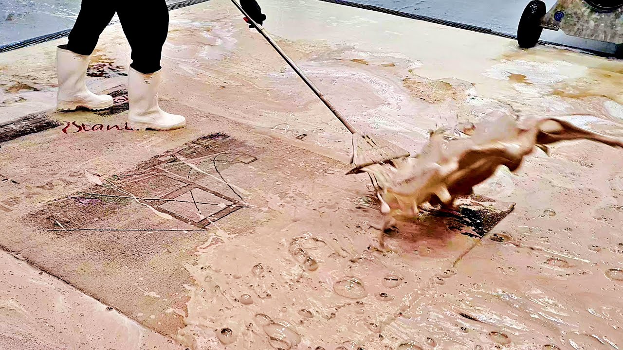 Muddy foam as thick as cream. Check out what spot we discovered while cleaning the carpet | asmr
