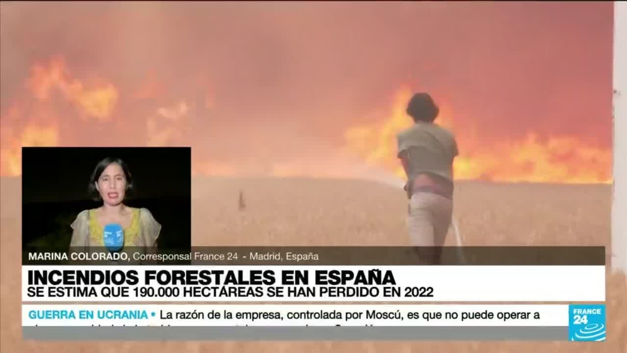 Informe desde Madrid: Espa&ntilde;a rompe r&eacute;cord de hect&aacute;reas calcinadas por incendios forestales