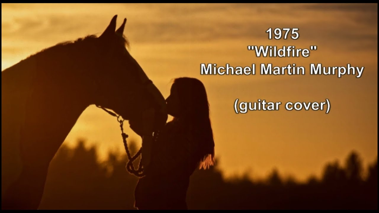 Wildfire Michael Martin Murphy guitar cover