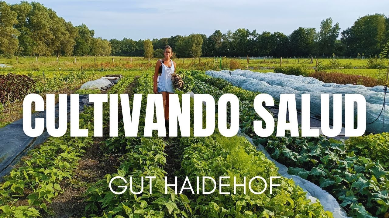 Cultivando salud: una apuesta valiente
