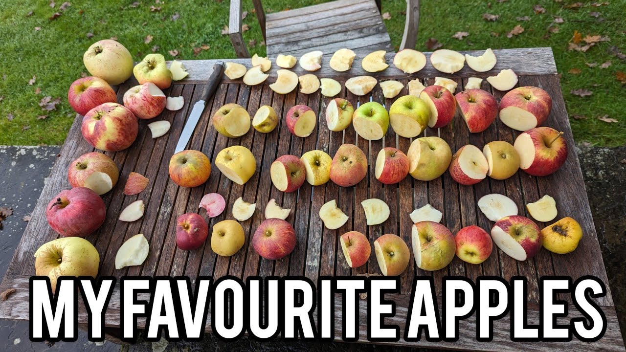 Keepers Nursery, my favourite apples, a comparison of the best apple varieties available to buy