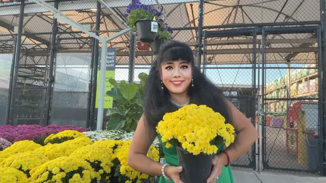 SAO KHÔNG ĐẾN BÊN EM CASABLANCA LỜI VIỆT : KIM TUẤN | ANGELINA NGUYỄN COVER |