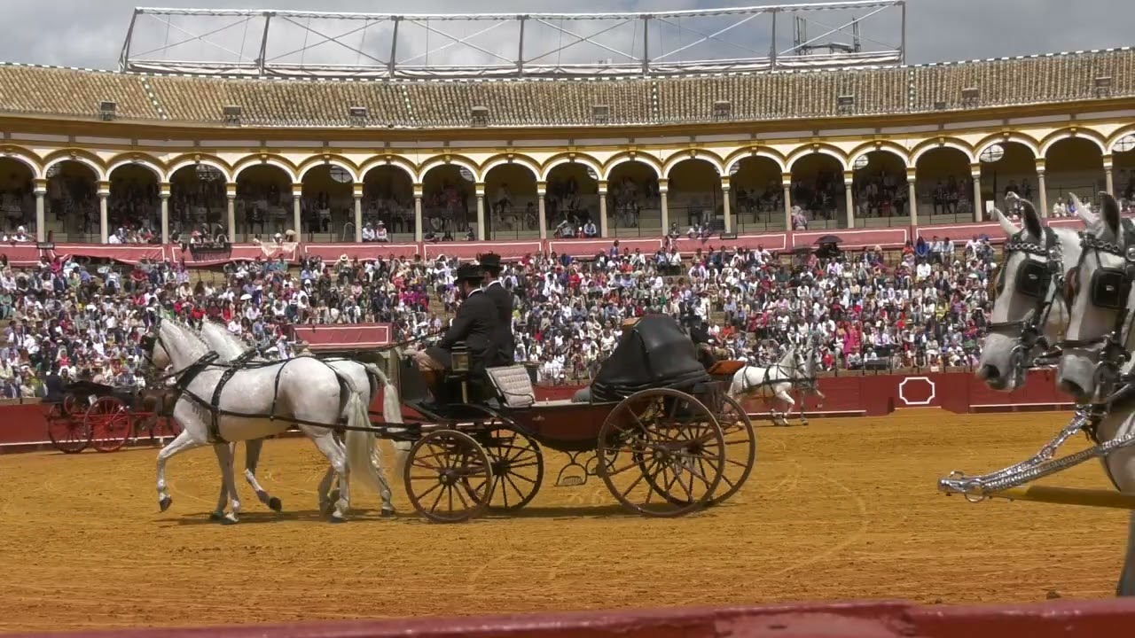 PARTE 3 9 EDICIÓN MAESTRANZA DE SEVILLA REAL CLUB DE ENGANCHES 2025  parte 3